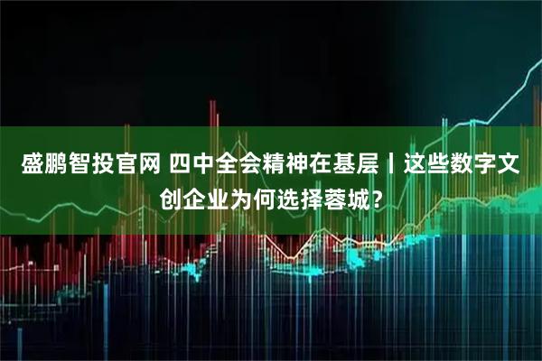 盛鹏智投官网 四中全会精神在基层丨这些数字文创企业为何选择蓉城？